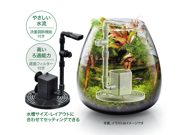 ｇｅｘ ピコロカ Picoroka アクアテイラーズ