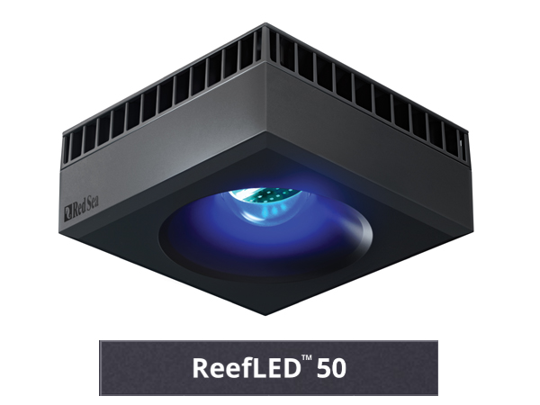 RedSea REEF LED 50 アクアテイラーズ オンラインショップ