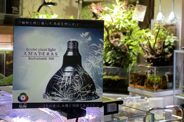 BARREL 天照大御神 AMATERAS LED 20w(アマテラス) アクアテイラーズ