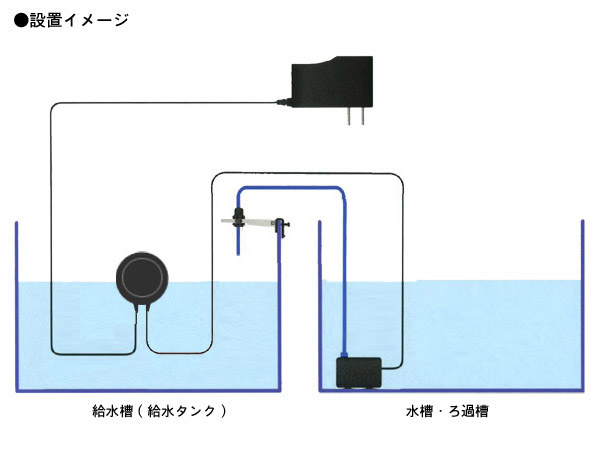 自動給水 熱帯魚 水草 海水魚 サンゴ レッドビーシュリンプ シャドーシュリンプの通販ショップ アクアテイラーズ オンラインショップ