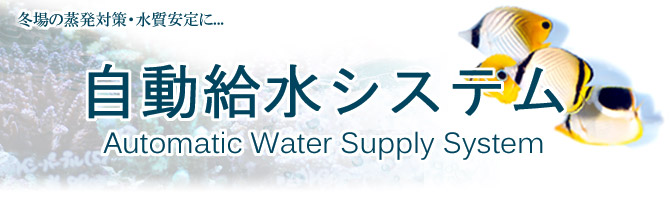 自動給水 熱帯魚 水草 海水魚 サンゴ レッドビーシュリンプ シャドーシュリンプの通販ショップ アクアテイラーズ オンラインショップ