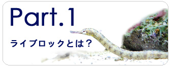 ライブロックの通信販売 アクアテイラーズ オンラインショップ